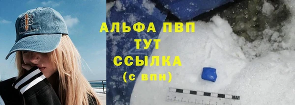 спиды Ладушкин