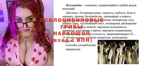 спиды Ладушкин