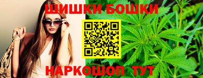мдпв Можга