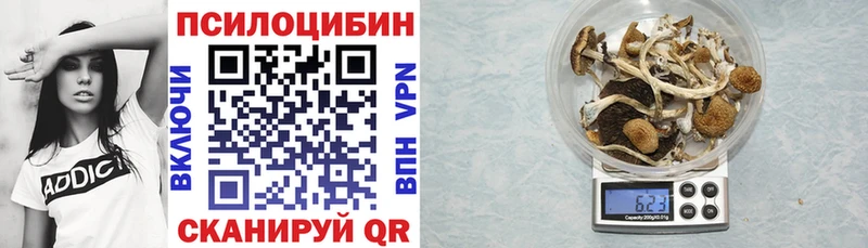 Галлюциногенные грибы прущие грибы  продажа наркотиков  Мончегорск 