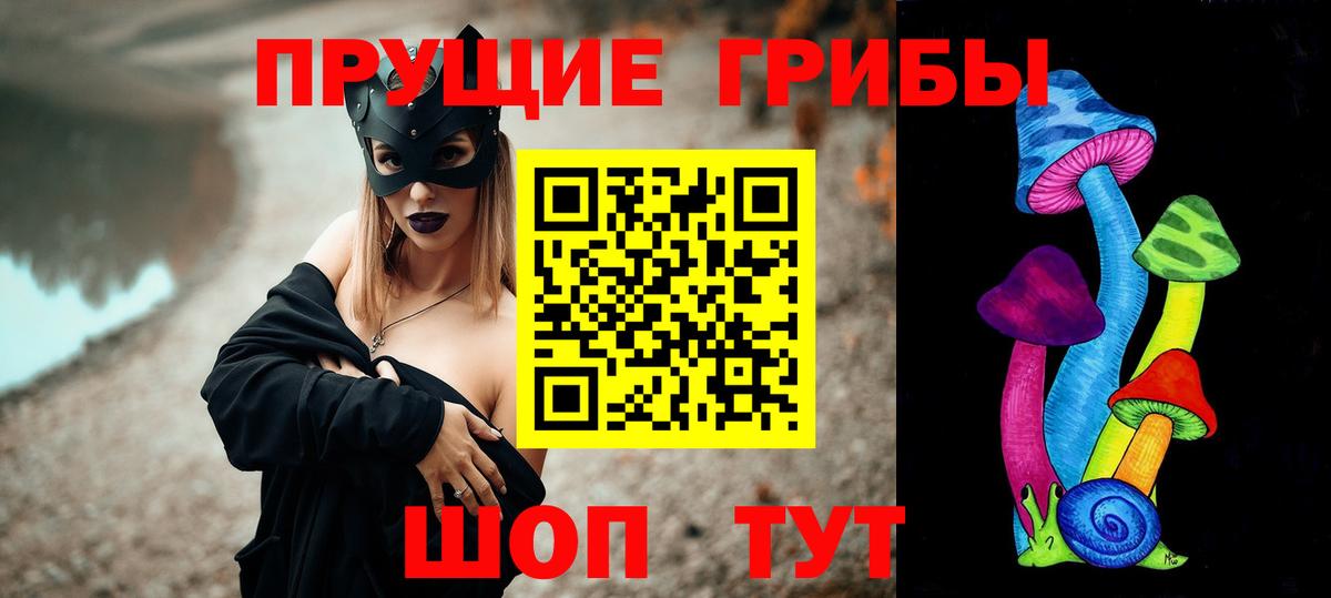 Мончегорск  Галлюциногенные грибы прущие грибы  Вход с VPN 